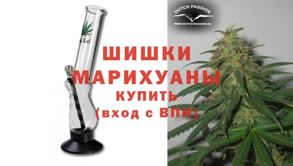 крисы Вязьма