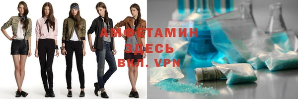 крисы Вязьма