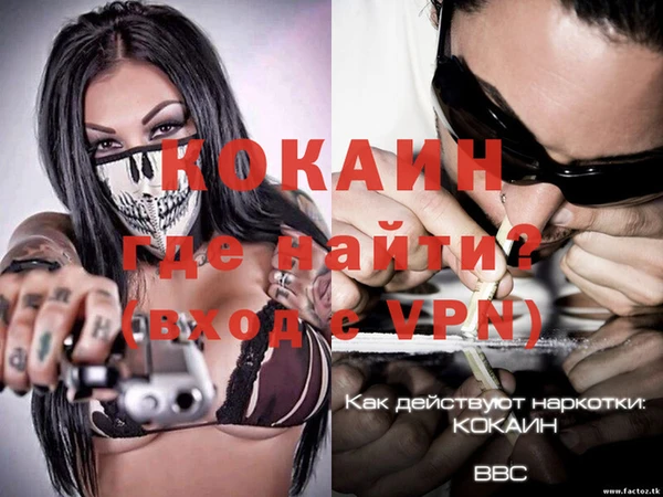 шишки Вяземский