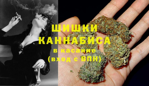 шишки Вяземский