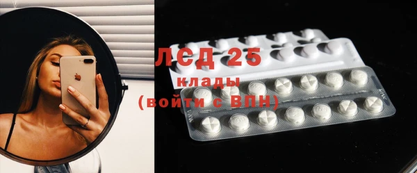 крисы Вязьма
