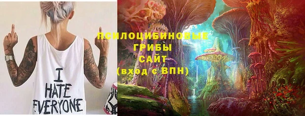 шишки Вяземский